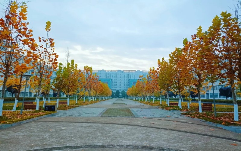 绵阳师范学院_校园风光_学校景色