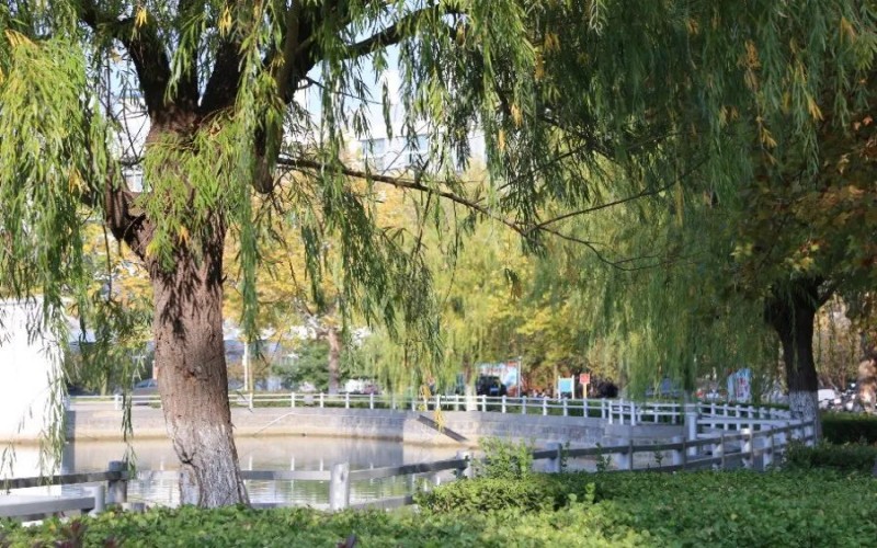 周口职业技术学院_校园风光_学校景色