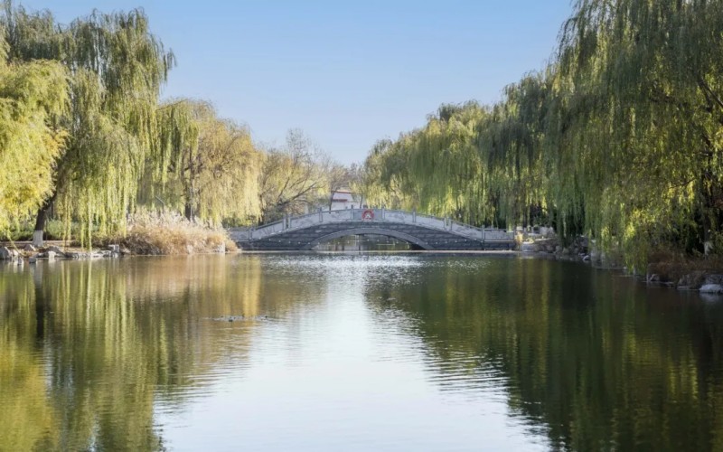 山东工业职业学院_校园风光_学校景色