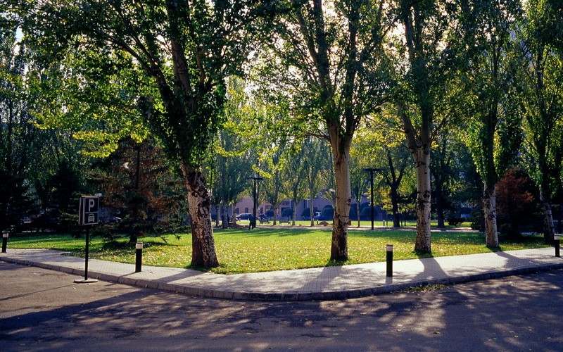 鲁迅美术学院_校园风光_学校景色