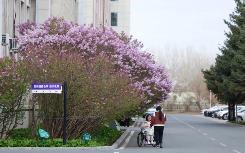 白城师范学院_校园风光_学校景色