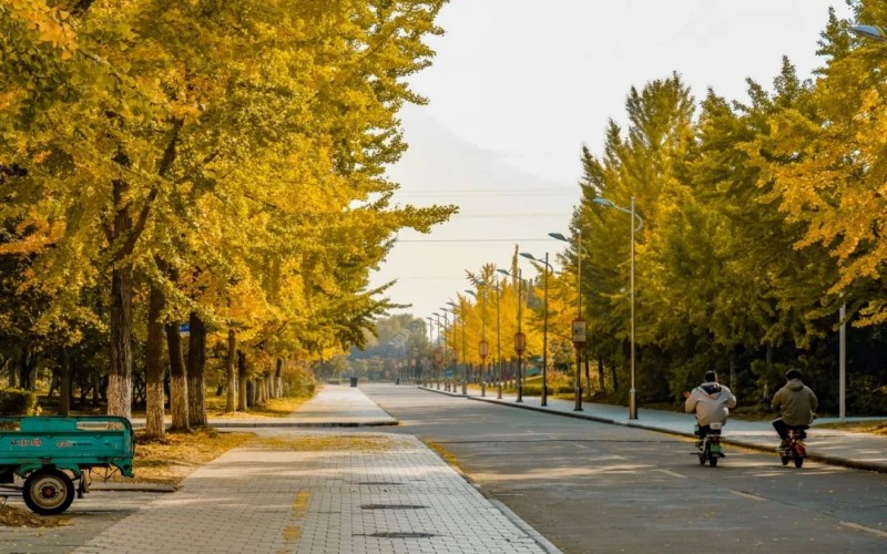 宿迁学院_校园风光_学校景色