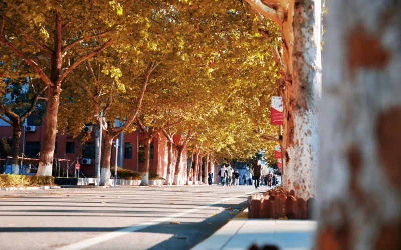 山东信息职业技术学院_校园风光_学校景色