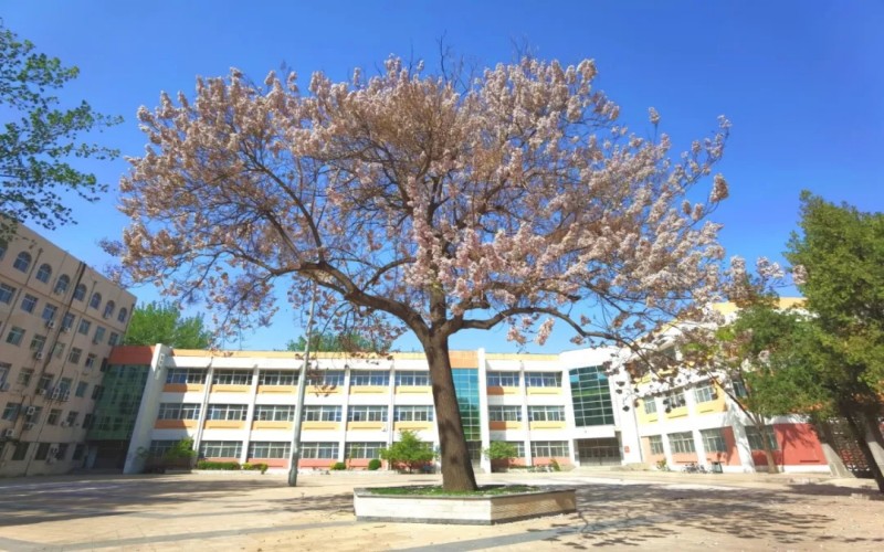 廊坊师范学院_校园风光_学校景色