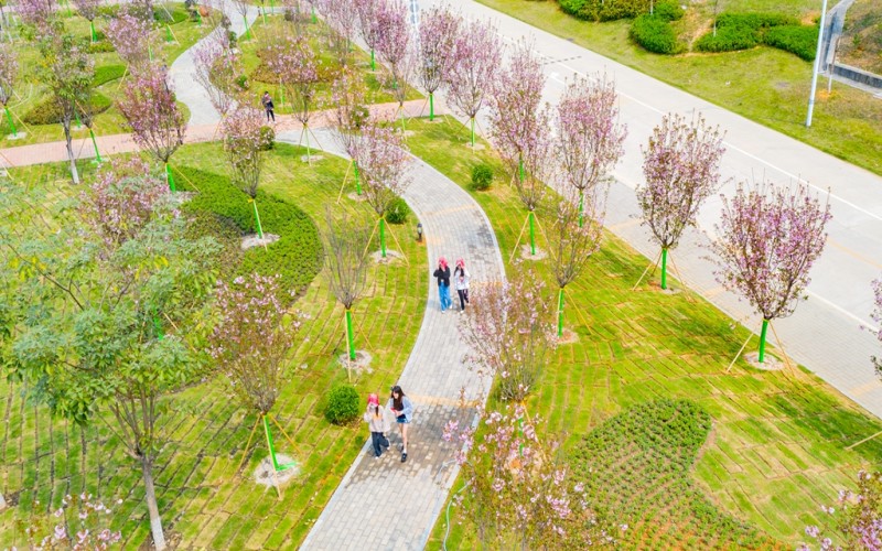 广东建设职业技术学院_校园风光_学校景色