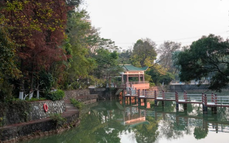 广东江门中医药职业学院_校园风光_学校景色