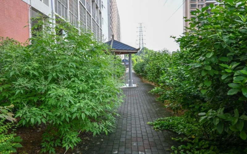 广东江门中医药职业学院_校园风光_学校景色