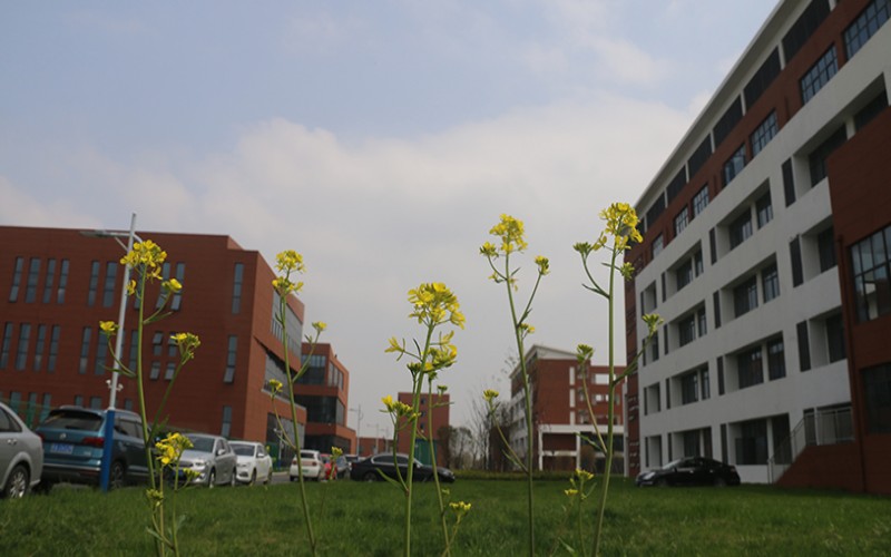 民办万博科技职业学院_校园风光_学校景色