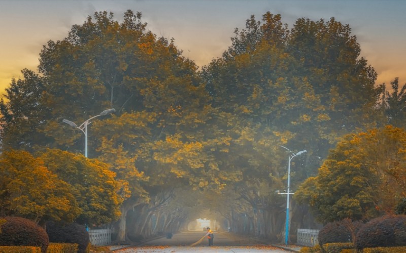 江海职业技术学院_校园风光_学校景色