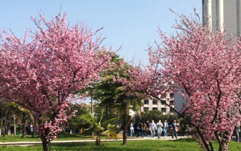 武汉工程职业技术学院_校园风光_学校景色