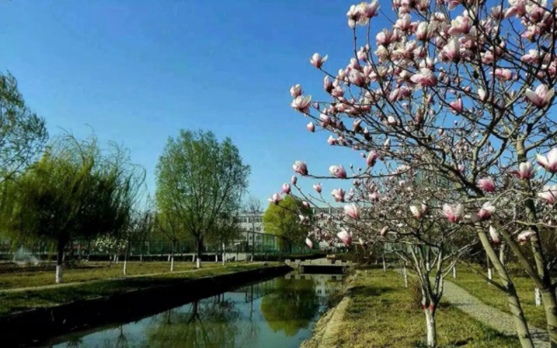 河北化工医药职业技术学院_校园风光_学校景色