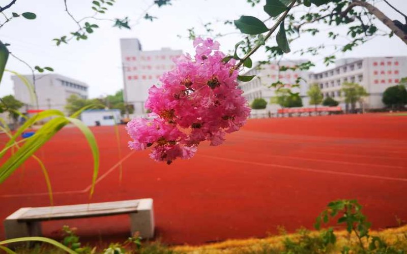 湘潭科技职业学院_校园风光_学校景色