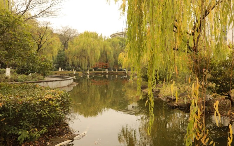 浙江商业职业技术学院_校园风光_学校景色