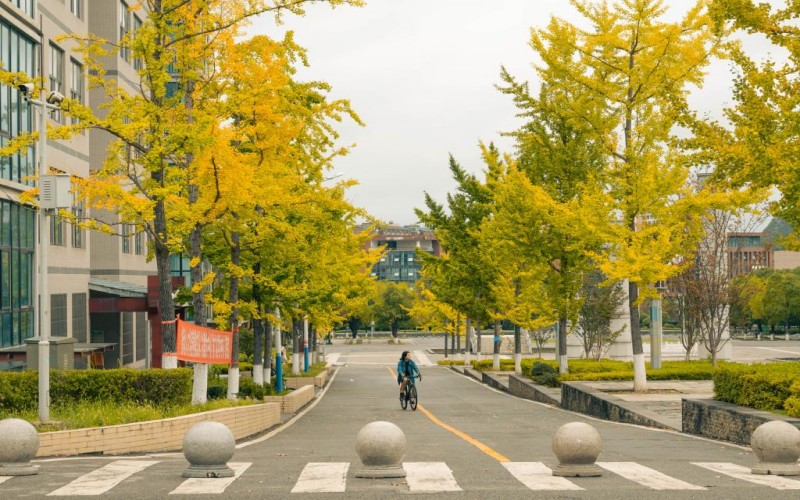 贵州中医药大学_校园风光_学校景色