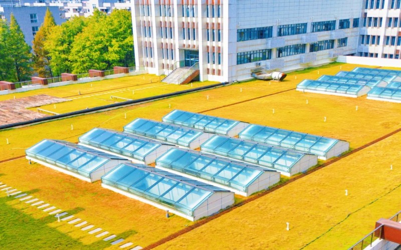 武汉城市职业学院_校园风光_学校景色