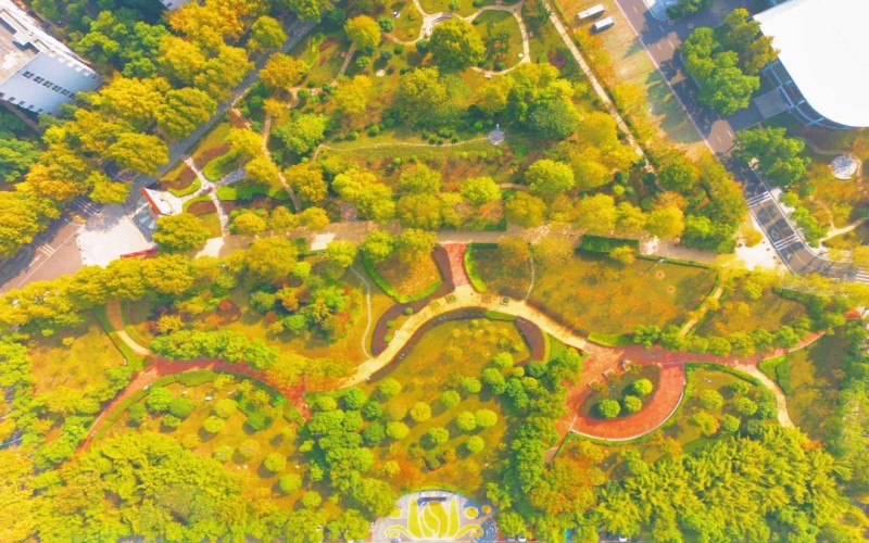 武汉城市职业学院_校园风光_学校景色