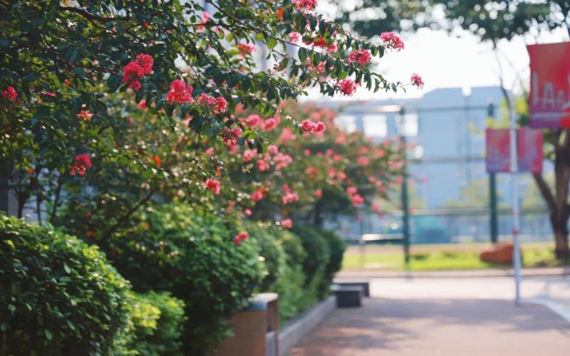 广州体育学院_校园风光_学校景色