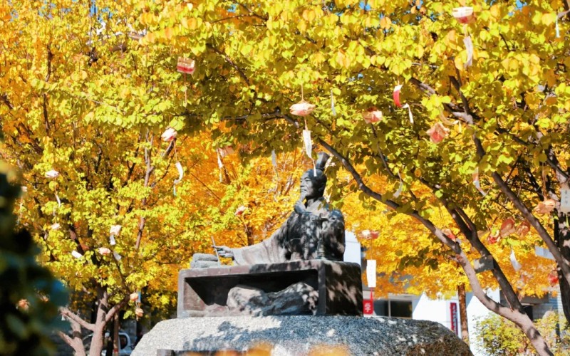 山西中医药大学_校园风光_学校景色