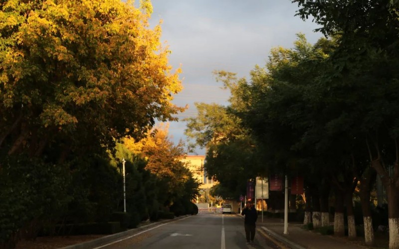 辽宁农业职业技术学院_校园风光_学校景色