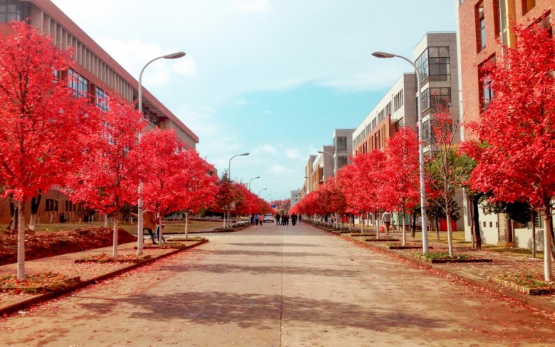 文华学院_校园风光_学校景色