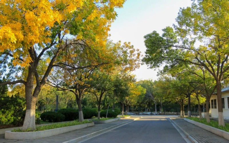 山东石油化工学院_校园风光_学校景色