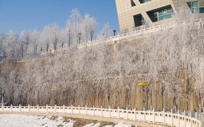 新疆医科大学_校园风光_学校景色