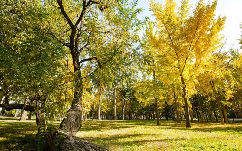 山东圣翰财贸职业学院_校园风光_学校景色