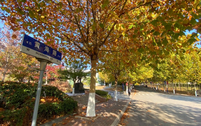 青岛黄海学院_校园风光_学校景色