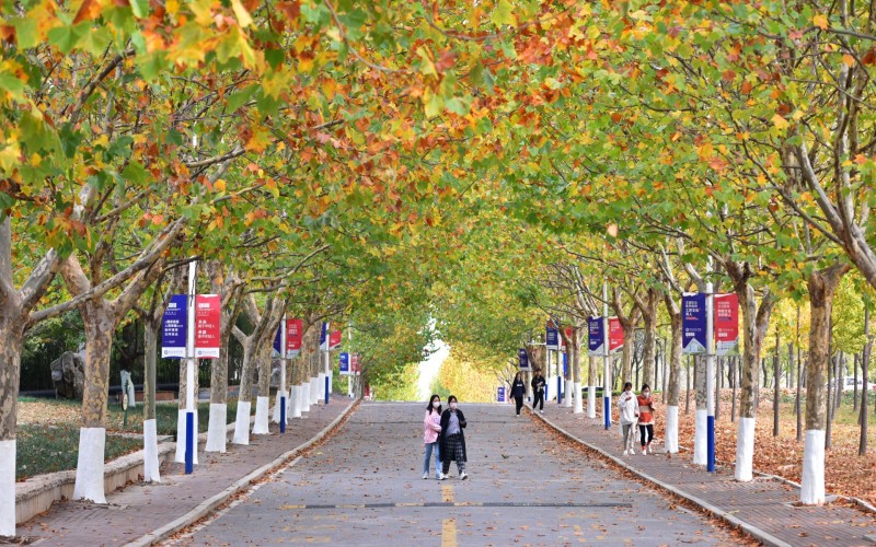 青岛黄海学院_校园风光_学校景色