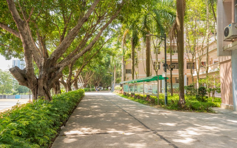 广州康大职业技术学院_校园风光_学校景色