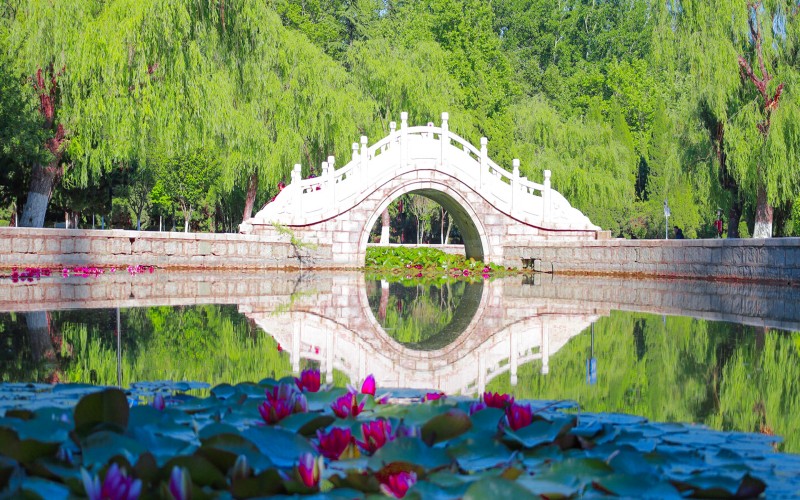 鲁东大学_校园风光_学校景色