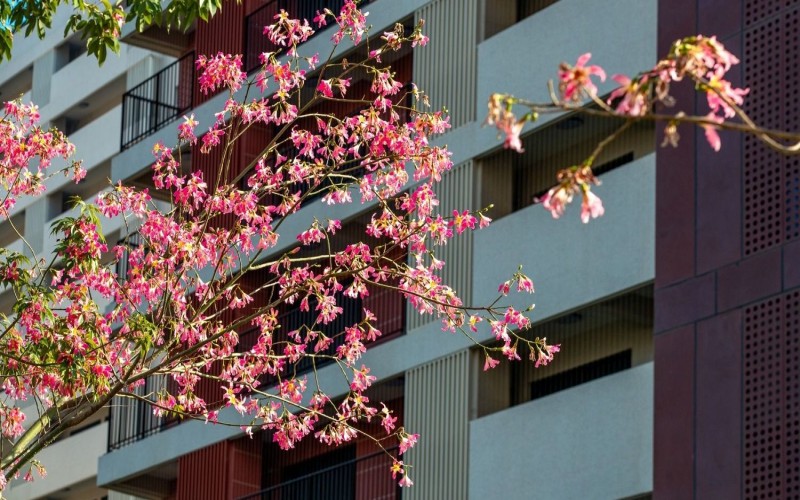 福耀科技大学（暂名）_校园风光_学校景色