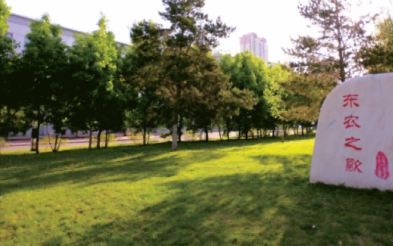 东北农业大学_校园风光_学校景色