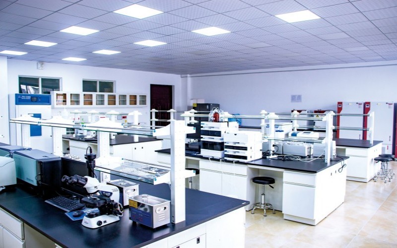 东北农业大学_校园风光_学校景色