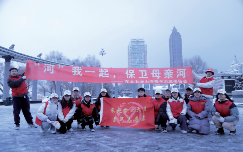 东北农业大学_校园风光_学校景色