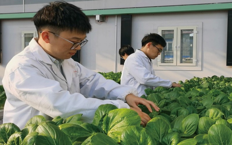 东北农业大学_校园风光_学校景色