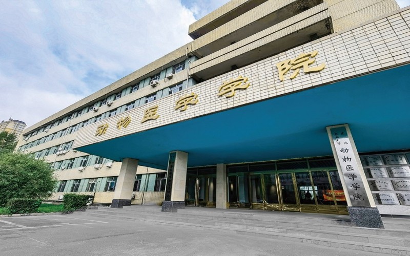东北农业大学_校园风光_学校景色