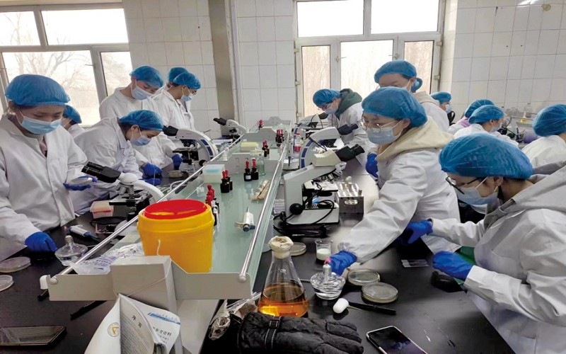 东北农业大学_校园风光_学校景色