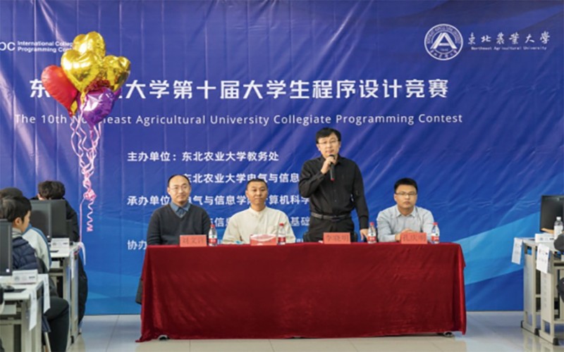 东北农业大学_校园风光_学校景色