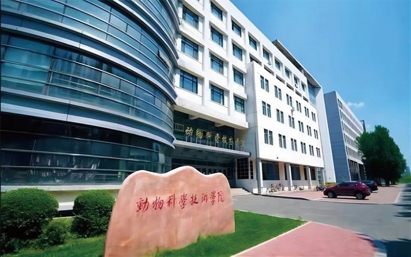 东北农业大学_校园风光_学校景色