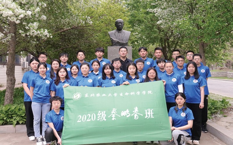 东北农业大学_校园风光_学校景色