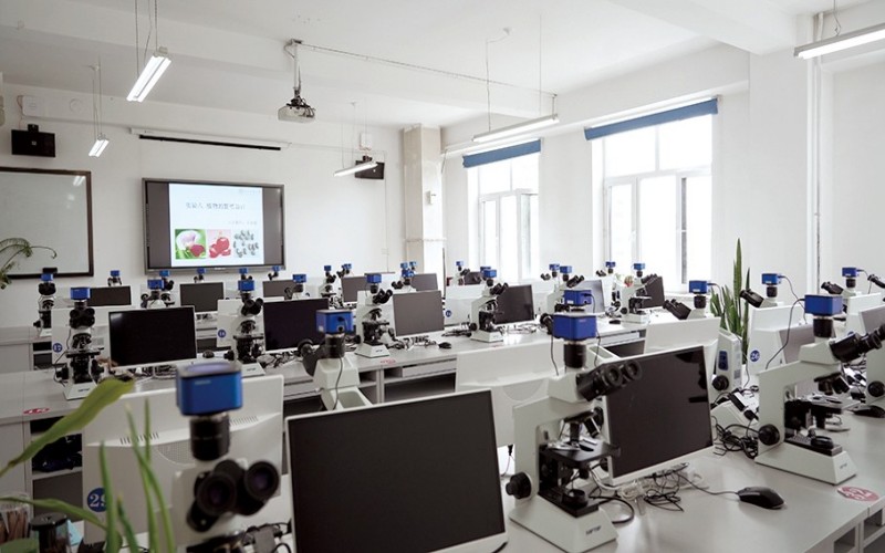 东北农业大学_校园风光_学校景色