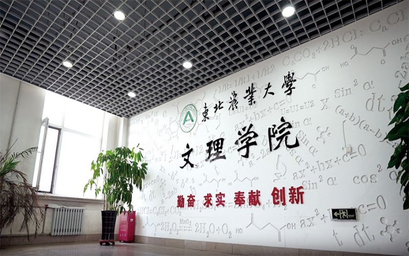 东北农业大学_校园风光_学校景色