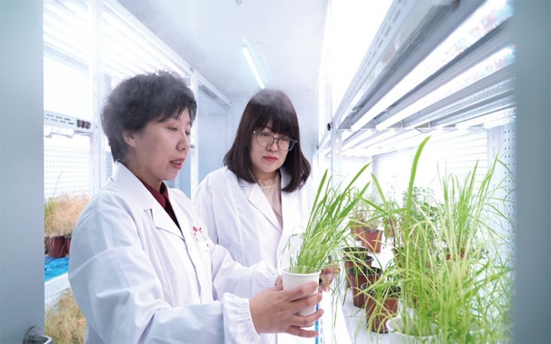东北农业大学_校园风光_学校景色