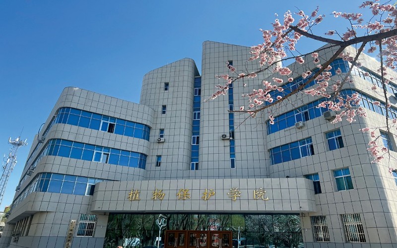 东北农业大学_校园风光_学校景色