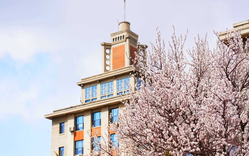 东北大学_校园风光_学校景色