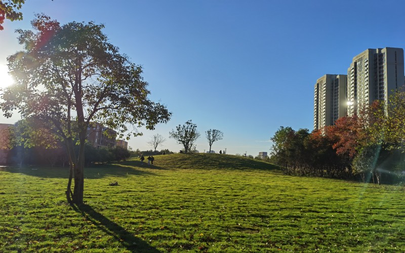 安徽粮食工程职业学院_校园风光_学校景色