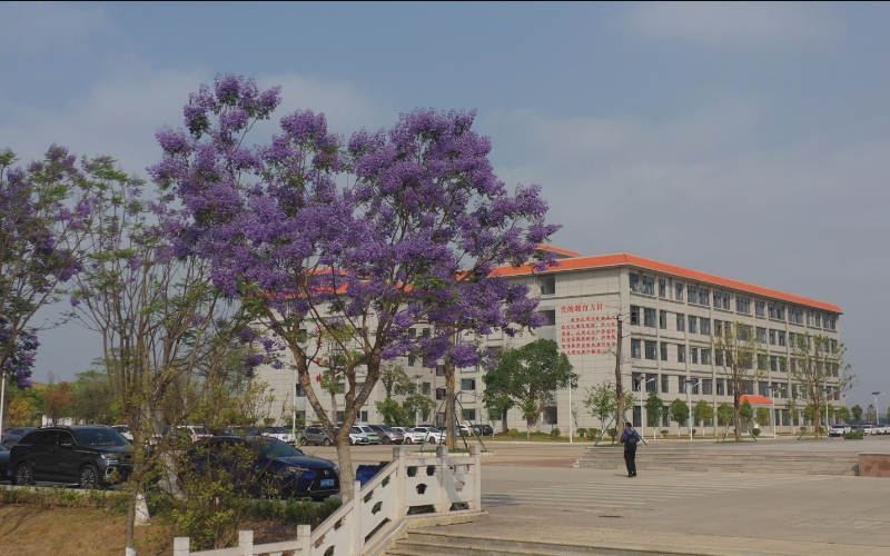 文山职业技术学院_校园风光_学校景色