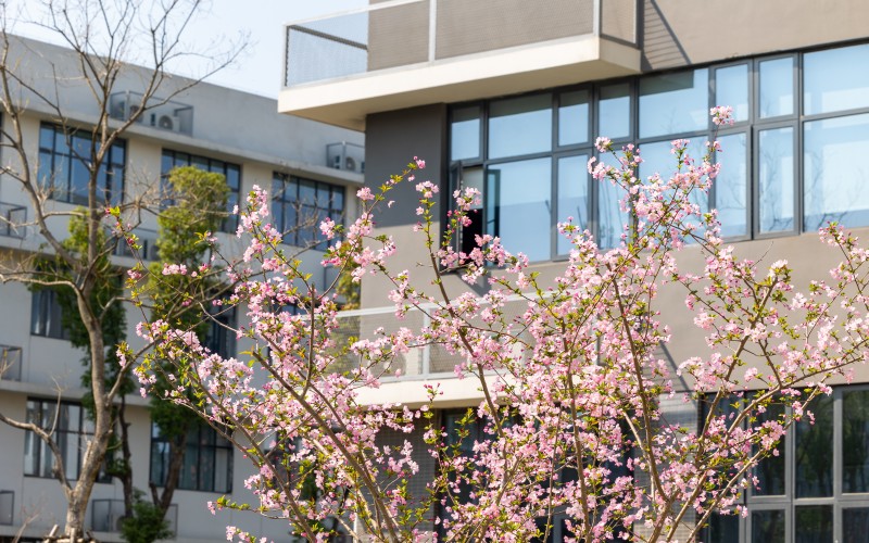 湖南文理学院芙蓉学院_校园风光_学校景色