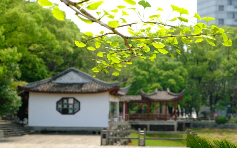 江西财经大学_校园风光_学校景色